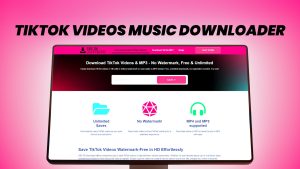 TikTok Videos Music Downloader